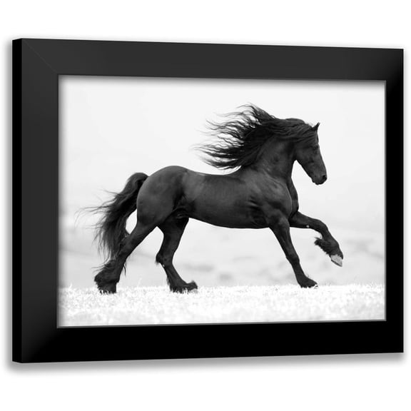 Walker, Carol 14x12 Black Modern Framed Museum Art Print Titled - Black Horse