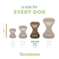 thumbnail image 4 of Juguete Masticable Dental Benebone Sabor Tocino, 4 of 6