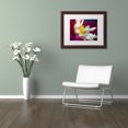 thumbnail image 3 of Trademark Fine Art "A Different Kind of Dahlia" Canvas Art by Kurt Shaffer, White Matte, Wood Frame, 3 of 4