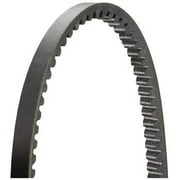 DAYCO BELTS/HOSES - V-RIBBED BELT