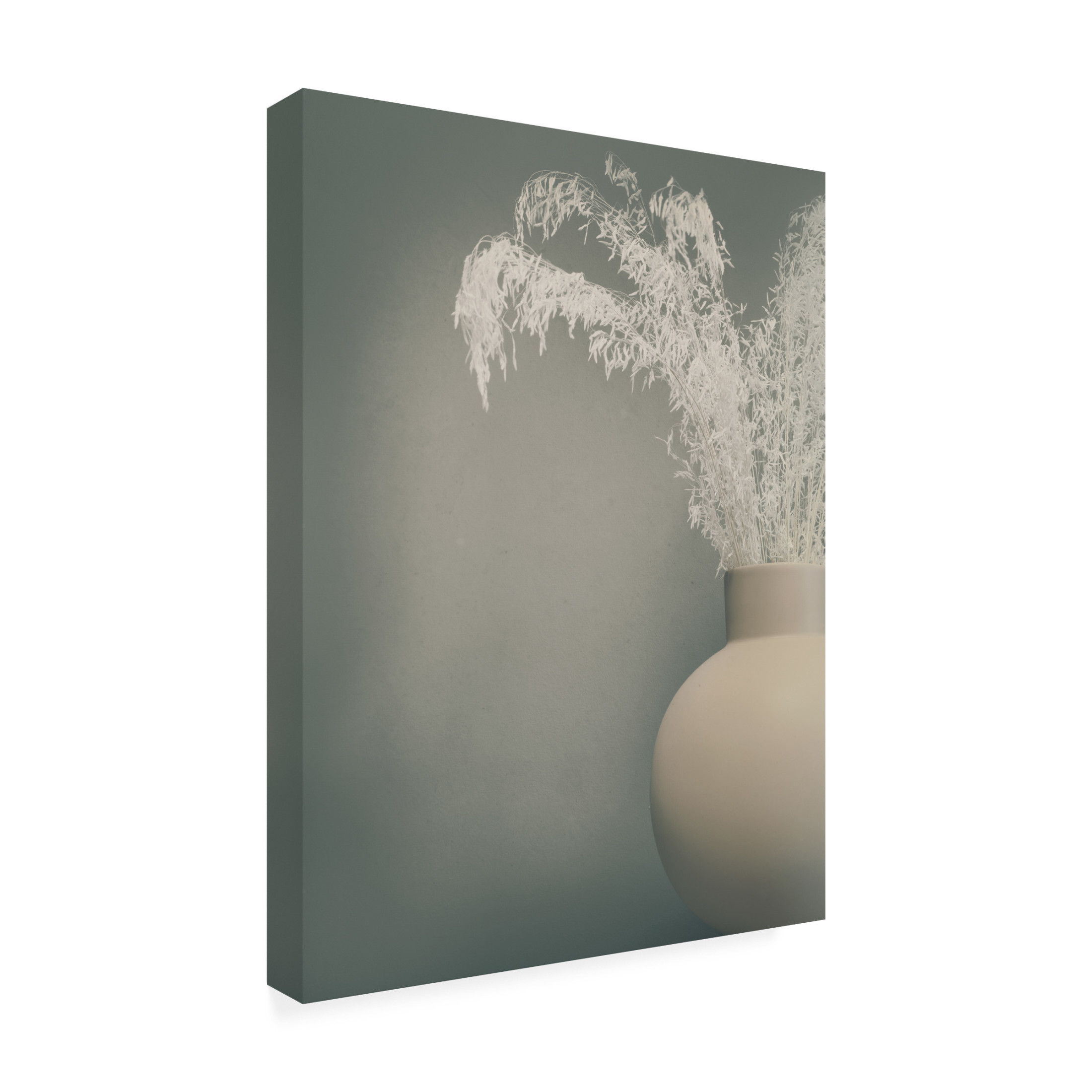 Canvas Wall Art - Heidi Westum 'Soft Feeling' Wall Art for Living Room, Bedroom, or Office Décor by Trademark Fine Art - 18 x 24 Inches