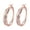 Rose Gold 2Pcs, variant on 2Pcs Elegant Cubic Zirconia Hoop Earrings for Women - Sparkling Dainty Pierced Jewelry, Valentine’s Day Gift for Her, Girlfriend, Wife