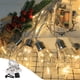 thumbnail image 1 of Fiudx Guirnalda de Luces Solares, Bombillas Led de Bajo Consumo, Diseño Impermeable E Irrompible, Decoración de Jardín Exterior, Fiestas En El Patio, Bodas, Panel Solar Ajustable, 10 Luces, Tamaño 20, 1 of 7