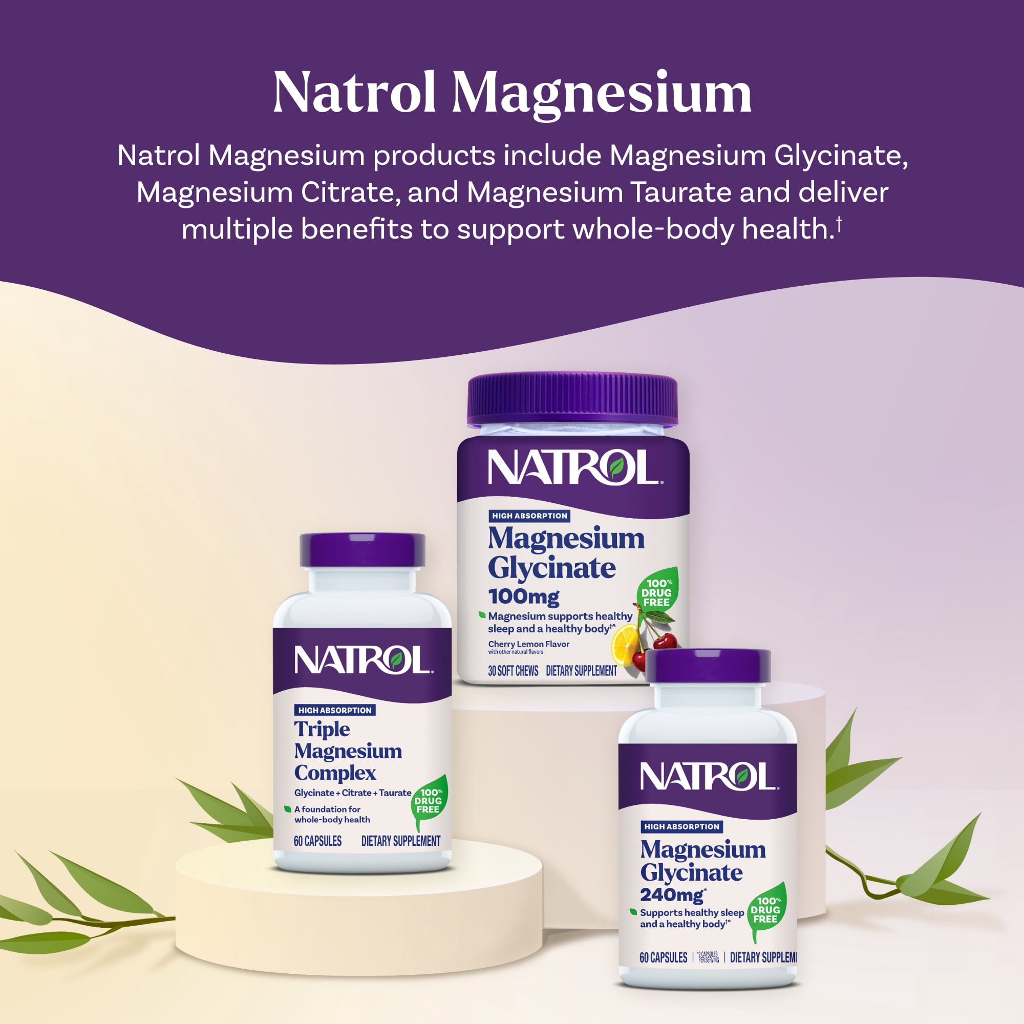 Natrol Triple Magnesium Complex Supplement, Glycinate, Citrate & Taurate 200mg High Absorption, Support Whole Body Wellness, 60 Capsules