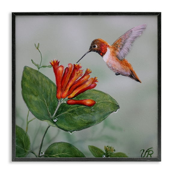 Stupell Industries Red Hummingbird & Flower Animals Painting Black Framed Art Print Wall Art, 12 x 12