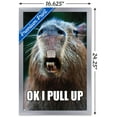 thumbnail image 3 of Capybara - Pull Up Wall Poster, 14.725" x 22.375" Framed, 3 of 5