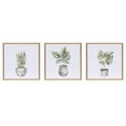 thumbnail image 1 of Sentra Botanicals Framed Canvas Art Set, 1 of 9