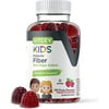 VITEEY Kids Fiber Zero Sugar Gummies, Digestive Support, Fruit Flavor, 120 Count (Pack of 1)