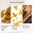 thumbnail image 4 of Homeidcs SereneScent™ Lemon & Ginger 15ml Home Fragrance Essential Oil, 4 of 5