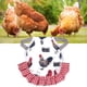thumbnail image 4 of Chaleco de Delantal de Gallina Sunnimix Silla de Montar de Pollo, 4 of 7