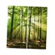 thumbnail image 5 of Cortina De Ventana De Bolsillo Con Barra De Apagón Con Aislamiento Térmico Para Sala De Estar, 55x39 Pulgadas, 2 Paneles / Juego, Impresión De Fotos E Bosque del sol Sunnimix Cortina de poliéster, 5 of 8