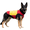 CoolMor™ Dog Cooling Vest – RED/YELLOW (LARGE), variant on CoolMor™ Dog Cooling Vest (CoolMor™DogCoolingVest–NAVY/YELLOW(SMALL))
