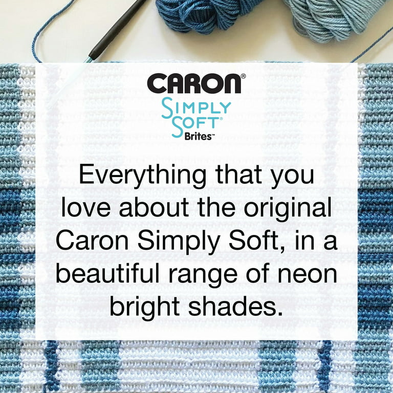 1 Skein Caron Simply Soft Yarn / Blue Mint 