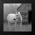 thumbnail image 2 of Robinson, Carol 15x15 Black Modern Framed Museum Art Print Titled - Morning Pasture, 2 of 5