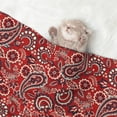 thumbnail image 2 of Yiaed Vintage Red Paisley Print Dog Blankets-Cat Blanket Washable for Couch Protection,Puppy Blanket, Soft Plush Reversible Throw Furniture Protector-Medium, 2 of 8