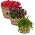 thumbnail image 1 of Sunnydaze Modern Decorative Resin Rustic Cask Outdoor Planter - 13", 15" and 17" Diameter - 3-Piece Set, 1 of 6