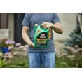 thumbnail image 5 of Ortho WeedClear Lawn Weed Killer Ready to Use - Weed Killer for Lawns, Crabgrass Killer, Also Kills Chickweed, Dandelion, Clover & More, Fast Acting Weed Killer Spray, Kills to the Root, 1 gal., 5 of 6