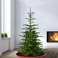 thumbnail image 5 of National Tree Company 7.5 ft. Norwegian Spruce Tree with Clear Lights, 5 of 6