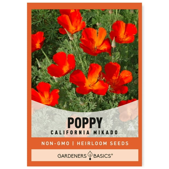 California Poppy Mikado Seeds
