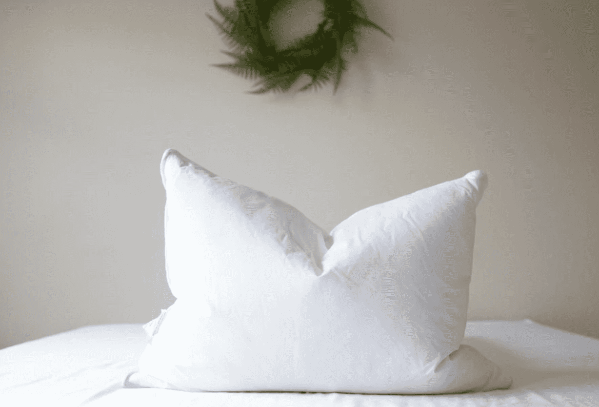 Pacific Coast Double Touch of Down King Size Pillow