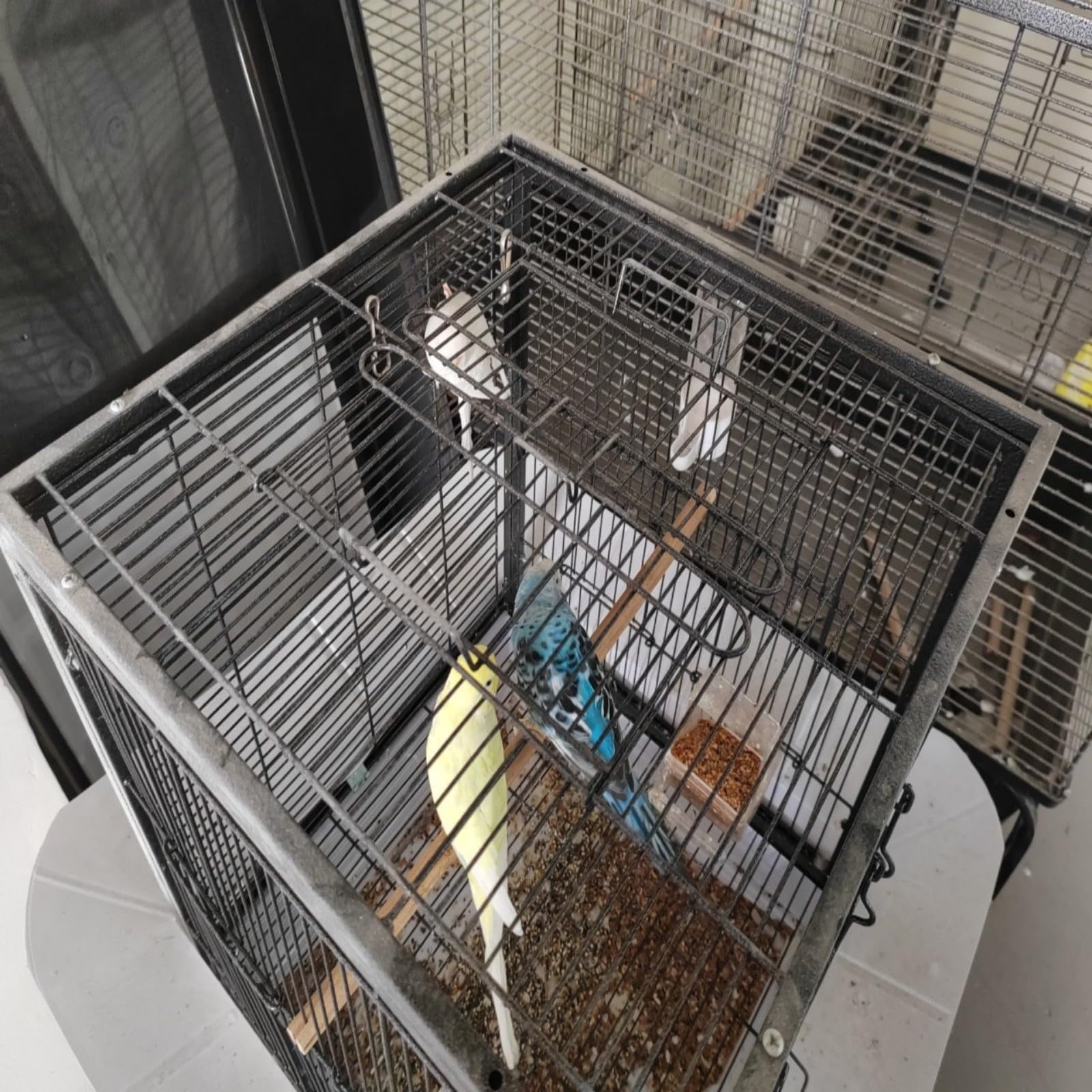 Small Bird Cage, 45 x 45 x 60 cm Travel Carrier Cage with Pull-Out Tray and 2 Perches, Metal Portable Bird Carrier with Handle, for Parrot, Budgie, Parakeet, Small Medium Birds