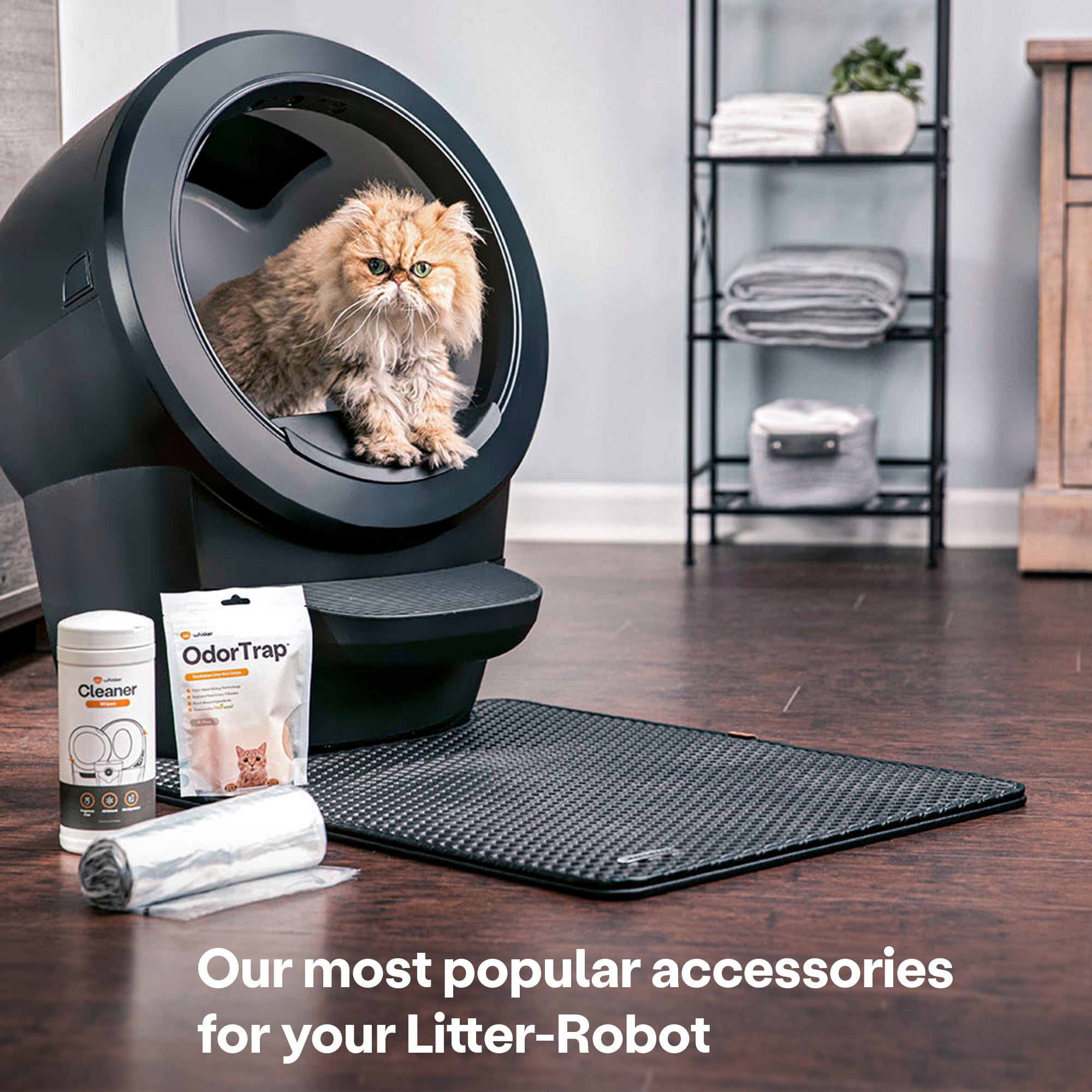 Litter Robot Best Rated Litter Box Litter-Robot Automatic Litter