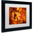 thumbnail image 2 of Trademark Fine Art "Lost & Found" Canvas Art by Philippe Sainte-Laudy White Matte, Black Frame, 2 of 4