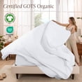 thumbnail image 3 of Bare Home Organic Percale Sheet Set - 100% Organic Cotton - Twin XL, White, 3 of 10