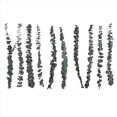 thumbnail image 3 of 10Pack Natural Dried Eucalyptus Bundle,Preserved Fresh Eucalyptus Branches for Flower Arrangements W, 3 of 5