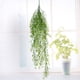 thumbnail image 2 of Planta de simulación de sauce de campana dorada para colgar en la pared, cesta colgante para decoración de pared, orquídea, ratán, plástico, flor falsa, planta verde, 2 of 6
