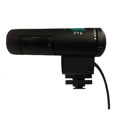 Stereo Microphone With Windscreen (Shotgun) For Sony (Best Shotgun Mic For Gh4)
