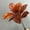 Red, variant on Lifelike Artificial Plants, Faux Bushes, UV Resistant for Home Decor in Living Room, Office, and Bedroom (Green)