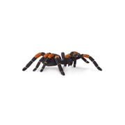Safari Ltd. Orange-Kneed Tarantula Figurine - Realistic 8 Arachnid Figure - Educational Toy for Boys, Girls, and Kids Ages 3+