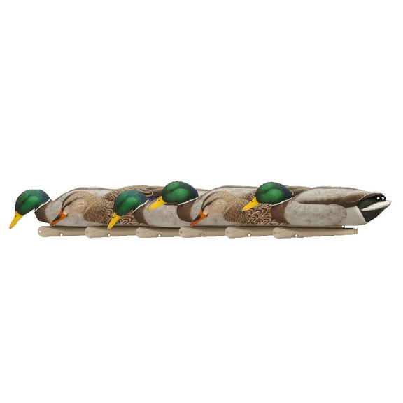 AVIAN-X Topflight Backwater Mallards Durable Ultra Realistic Floating Hunting Decoys, Pack of 6, AVX8070