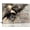 Bald Eagle, variant on American Bald Eagle Wall Art Rustic Eagle Pictures Wall Decor Christian Cross Eagle Painting Canvas Prints Motivational Quotes Modern Home Framed Artwork Decor for Bedroom Living Room 16"x12"