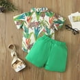 thumbnail image 4 of Bullpiano 0-4T Toddler Baby Boys Summer Print Shirt Outfits Clothes Short Sleeve Button Down Tops + Shorts Set (Green), 4 of 8