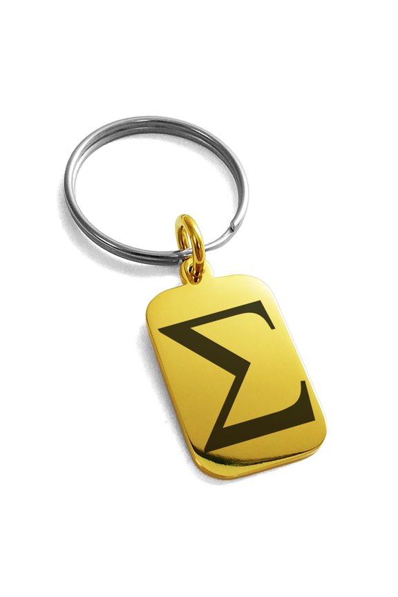 Stainless Steel Sigma Mathematical Engraved Small Rectangle Dog Tag Charm Keychain Keyring