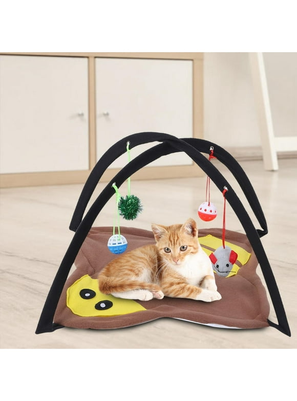 Heated Dog Houses in Dog Houses