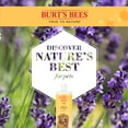 thumbnail image 3 of Burt's Bees For Pets Dog Soothing and Calming Shampoo Lavender Green Tea 32oz, 3 of 7
