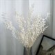 thumbnail image 5 of 16X Flores de Ruscus Secas para Siempre de 45cm Decoración Floral DIY Ramo de Flores Secas para Decoración del Hogar de Boda, 5 of 5