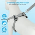 thumbnail image 5 of PcEoTllar Dog Harness and Leash Combo, Escape Proof No Pull Vest Harness, Step-in Reflective Adjustable Soft Padded Pet Harness for Small to Large Dogs, Gray XS, 5 of 12
