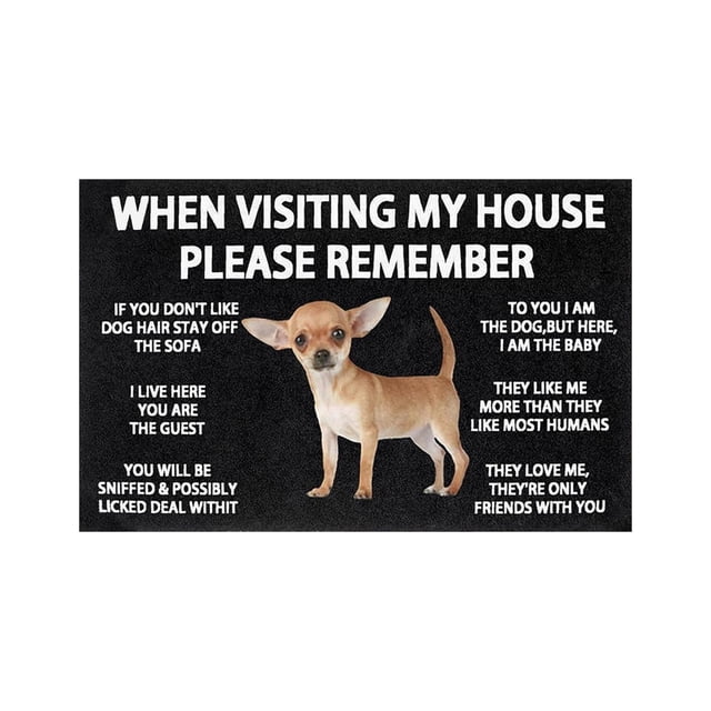 zhangmingg Indoor and Outdoor Welcome Mat Non- Entrance Rug for Easy Clean Home Floor