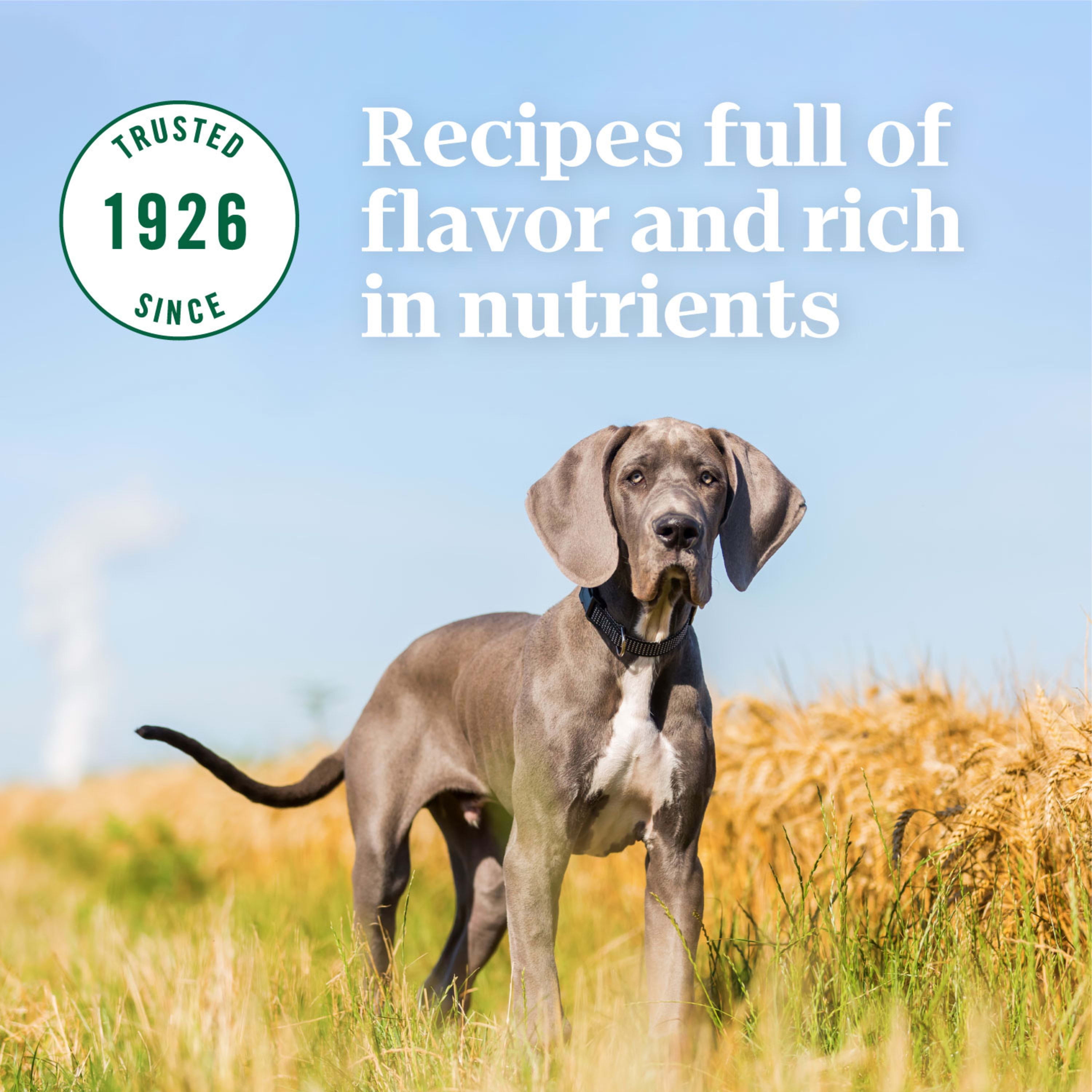 Nutro large breed puppy 30lb cheap
