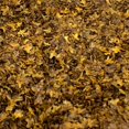 thumbnail image 4 of Miniature Leaf Diorama for Model Railroad Micro Landscape Architecture Model , Brown 56ml brown, 4 of 8