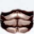 thumbnail image 2 of CafePress - SIX PACK ABS Infant Bodysuit - Baby Light Bodysuit, Size Newborn - 24 Months, 2 of 4