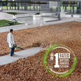 thumbnail image 1 of EGO Power+ LB6500 650 CFM Variable-Speed 56-Volt Lithium-ion Cordless Leaf Blower Battery and Charger Not Included, 1 of 5