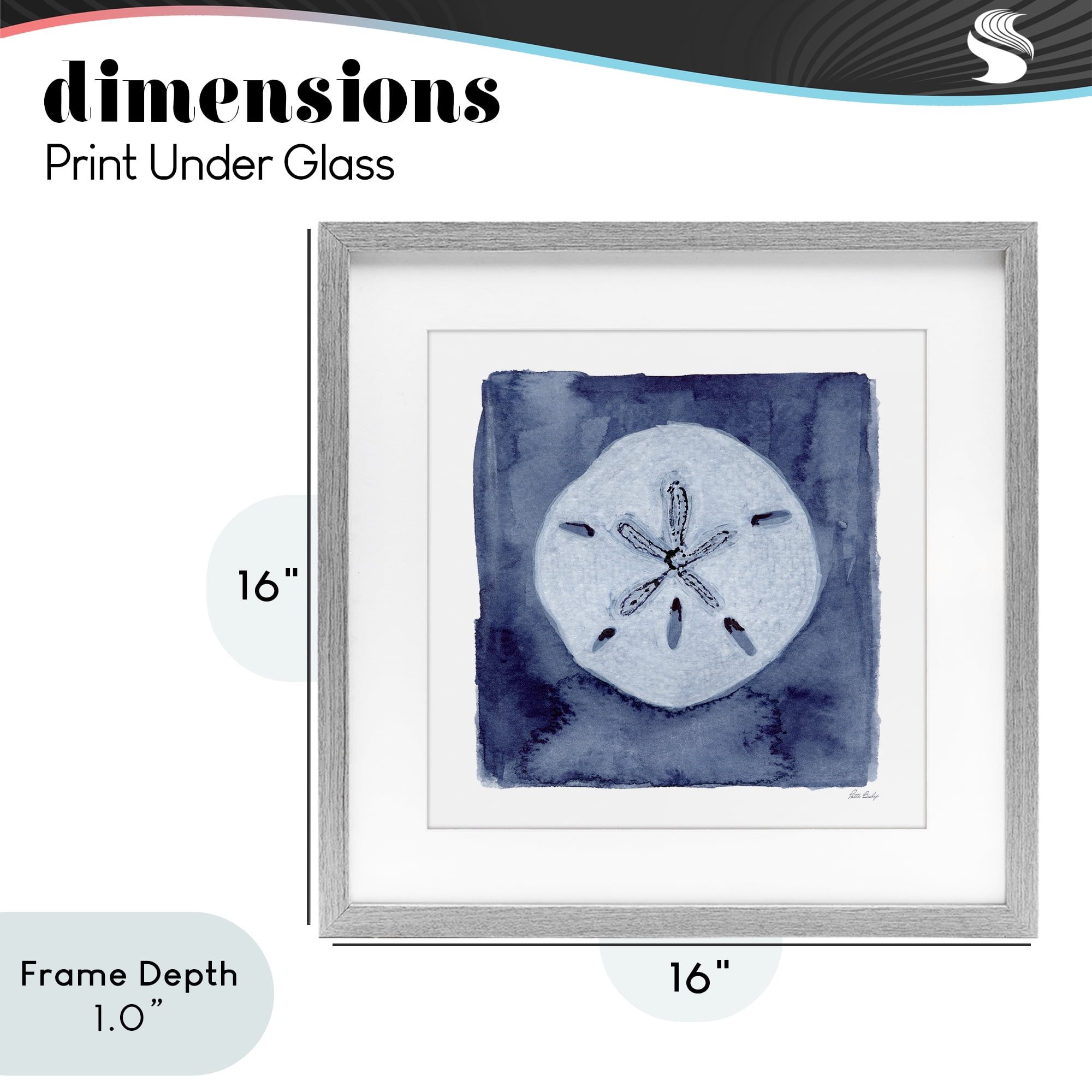 Stupell Industries White Sand Dollar on Indigo Gray Framed Print Under Glass, design by Patti Bishop