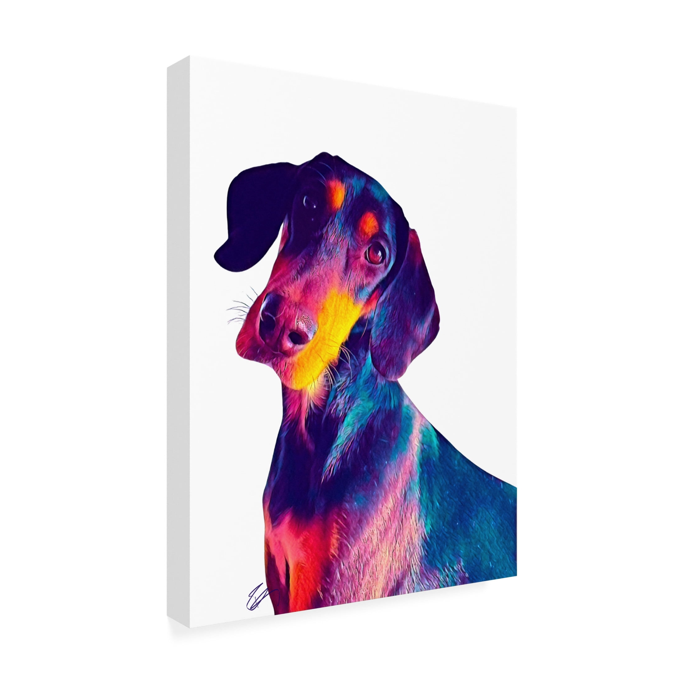 Trademark Fine Art Ruth Day Finn Dog Canvas Wall Art
