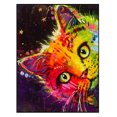 thumbnail image 2 of Wdftyju Kit completo de bordado de 11 quilates, artesanía de costura de punto de cruz con estampado de gato colorido DIY Wdftyju 6jf2qx5df0ns7bg5, 2 of 9