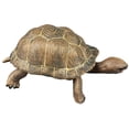 thumbnail image 4 of Plastic Turtle Model for Decor with Brown PVC Tortoise Educational Toy, 4 of 5